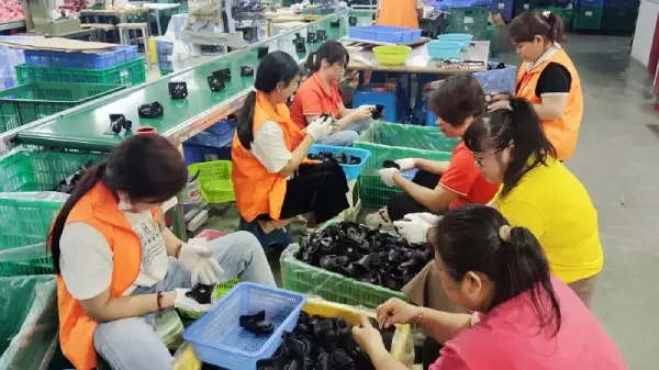 JX QC is checking wheel quality inspection.